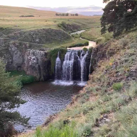 Au Rythme De Plume Et Louna Molompize