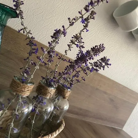 Au Rythme De Plume Et Louna Vakantiehuis