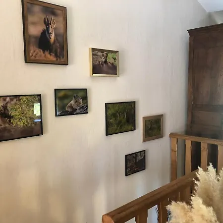 Au Rythme De Plume Et Louna Vakantiehuis