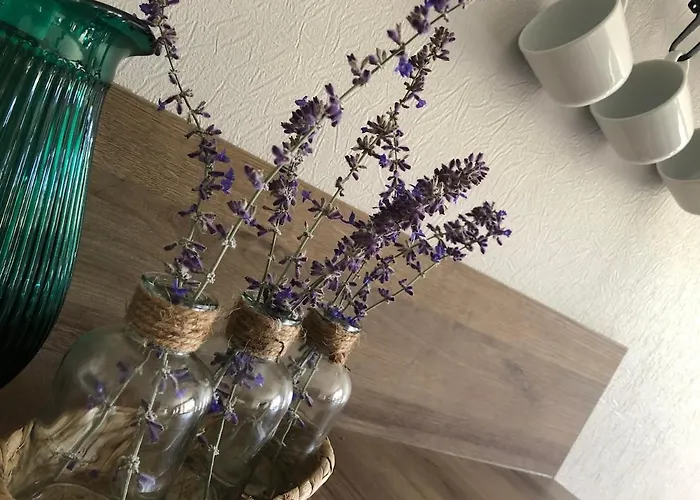 Au Rythme De Plume Et Louna Hébergement de vacances