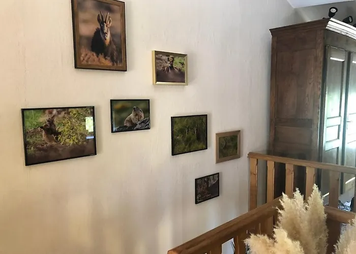 Au Rythme De Plume Et Louna Hébergement de vacances